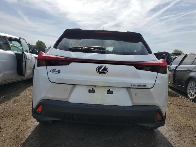 2021 Lexus Ux 250H VIN: JTHP9JBH8M2044253 Lot: 56937334