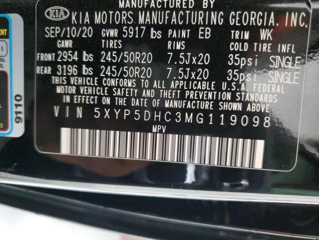 2021 Kia Telluride Sx VIN: 5XYP5DHC3MG119098 Lot: 55391004