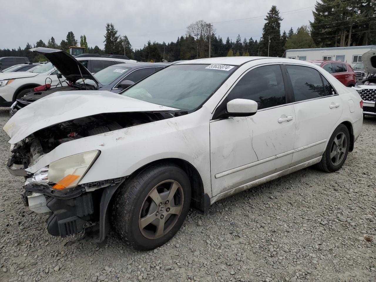 JHMCN36485C010774 2005 Honda Accord Hybrid