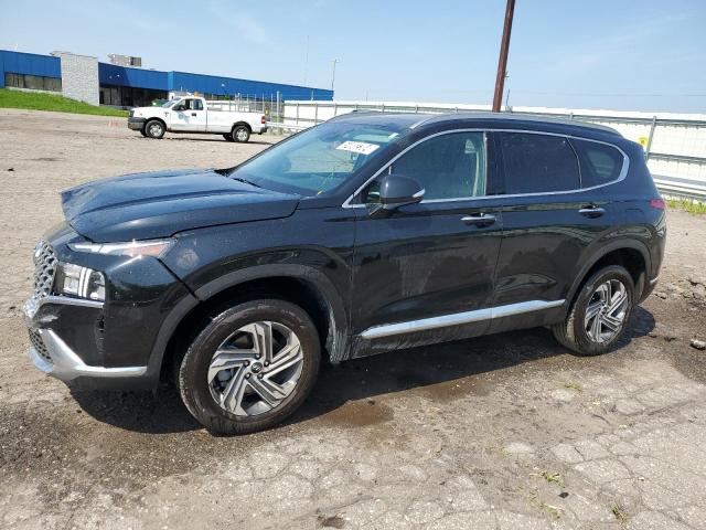 2023 Hyundai Santa Fe Sel Premium VIN: 5NMS3DAJ6PH641176 Lot: 54882384