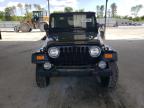 JEEP WRANGLER / photo