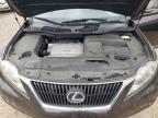 LEXUS RX 350 photo