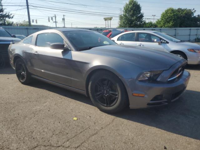 2014 Ford Mustang VIN: 1ZVBP8AM8E5254311 Lot: 54503944