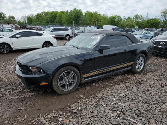 2010 Ford Mustang VIN: 1ZVBP8ENXA5116637 Lot: 53755614