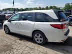 HONDA ODYSSEY EX photo