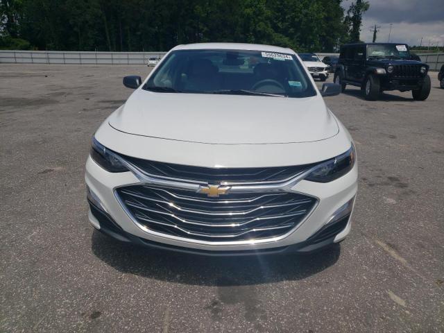 2019 Chevrolet Malibu Ls VIN: 1G1ZB5STXKF118166 Lot: 55629634