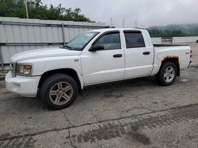 2011 Dodge Dakota Slt VIN: 1D7RW3GP7BS701917 Lot: 56801244