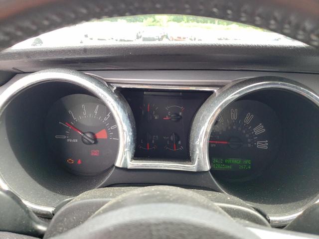 2005 Ford Mustang VIN: 1ZVFT80N255199023 Lot: 53122534