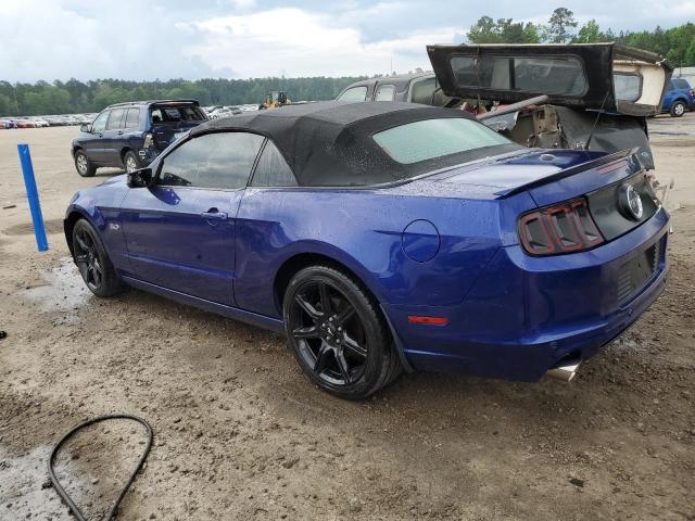 2014 Ford Mustang Gt VIN: 1ZVBP8FF3E5218603 Lot: 54499924