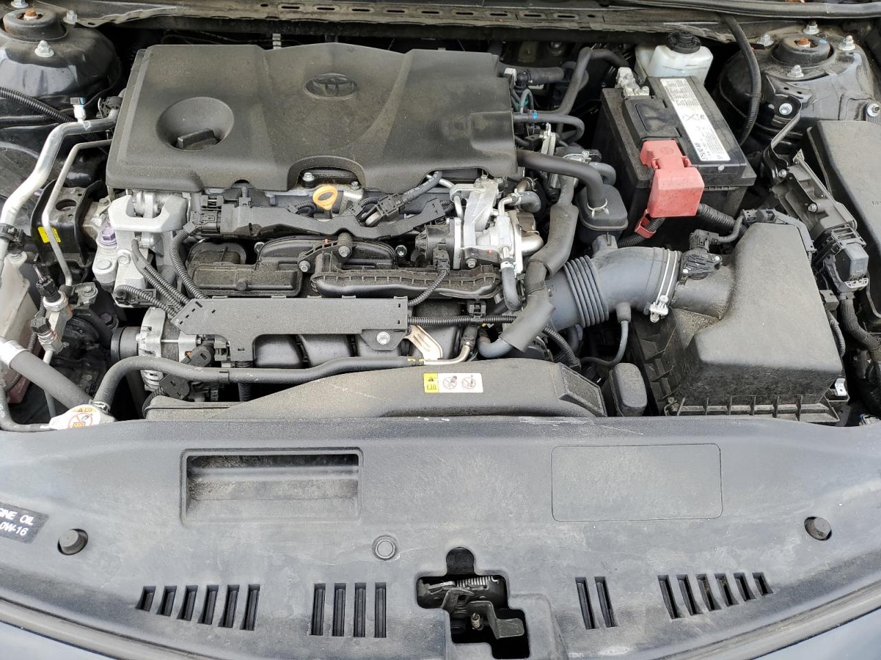 4T1B11HK1KU831550 2019 Toyota Camry L