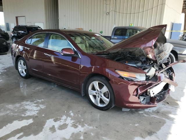 2009 Acura Tsx VIN: JH4CU26609C016900 Lot: 53750934