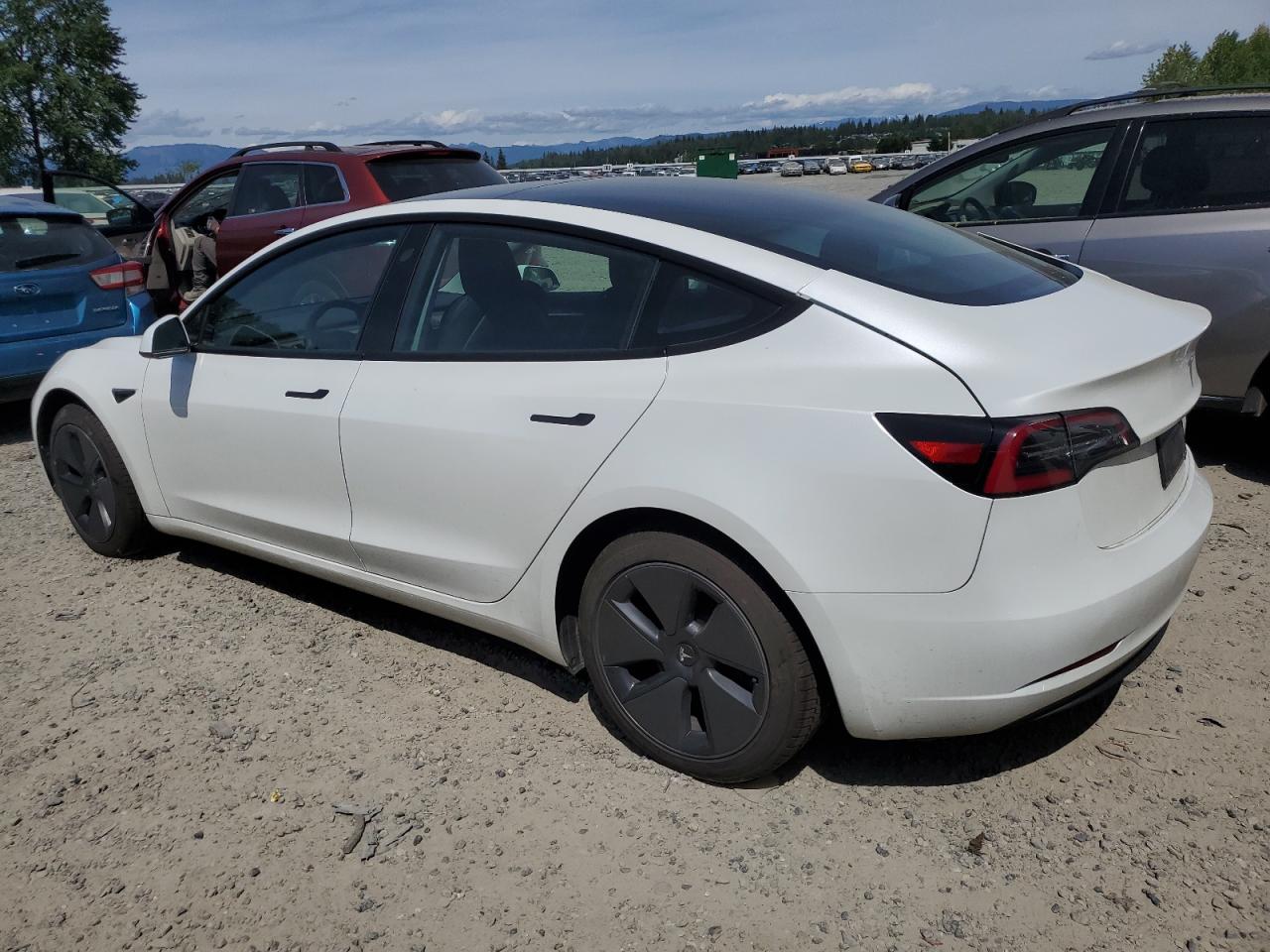 5YJ3E1EAXPF567141 2023 Tesla Model 3