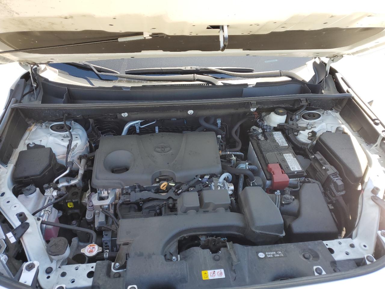 2T3W1RFV4NC190937 2022 Toyota Rav4 Xle