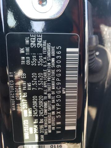 2023 Kia Telluride Sx VIN: 5XYP5DGC9PG390365 Lot: 55565574