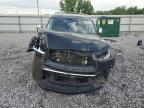 Lot #3023461316 2019 INFINITI QX80 LUXE