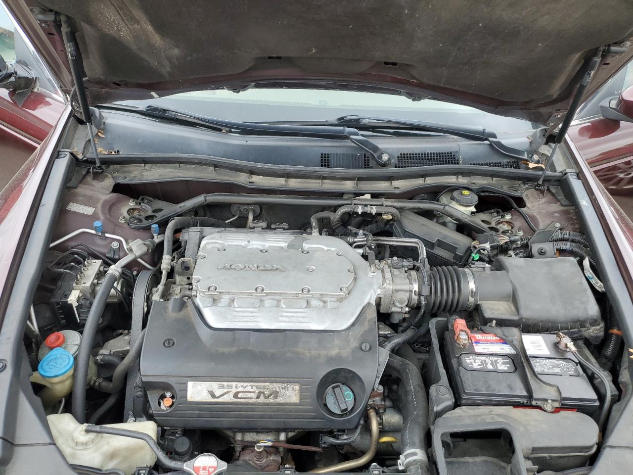 5KBCP3F81AB007437 2010 Honda Accord Exl