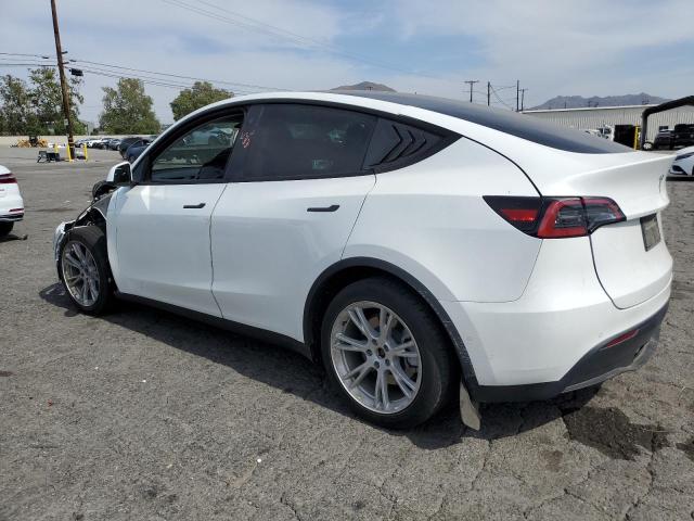 2022 Tesla Model Y VIN: 7SAYGAEE2NF365283 Lot: 54813134