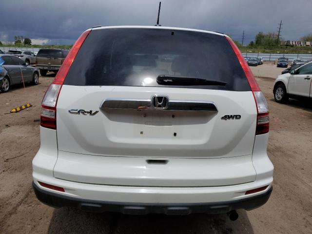 2010 Honda Cr-V Exl VIN: 5J6RE4H78AL055534 Lot: 54576994