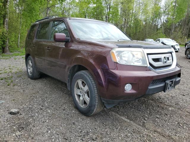 2011 Honda Pilot Exl VIN: 5FNYF4H51BB502786 Lot: 55200424