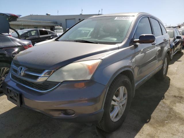 2010 Honda Cr-V Exl VIN: 5J6RE3H77AL016816 Lot: 55854484