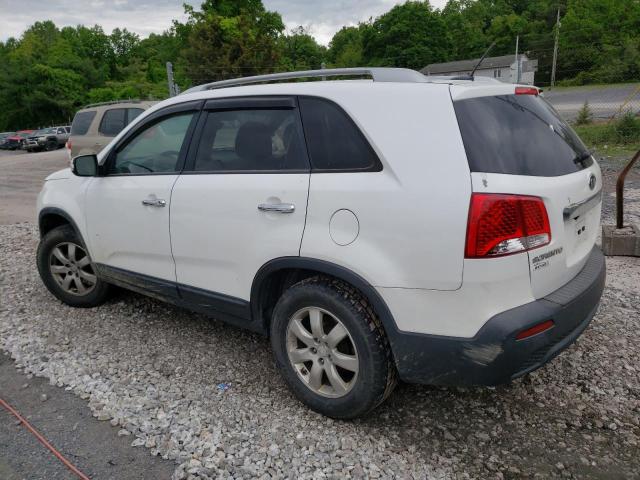 2011 Kia Sorento Base VIN: 5XYKT4A17BG143619 Lot: 53452184