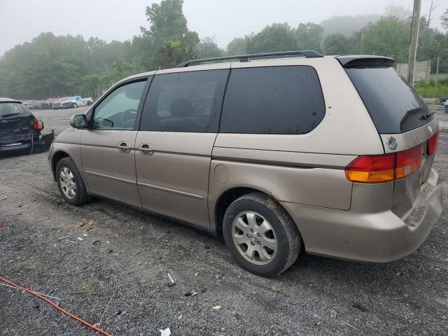 2004 Honda Odyssey Exl VIN: 5FNRL18744B145510 Lot: 54459734