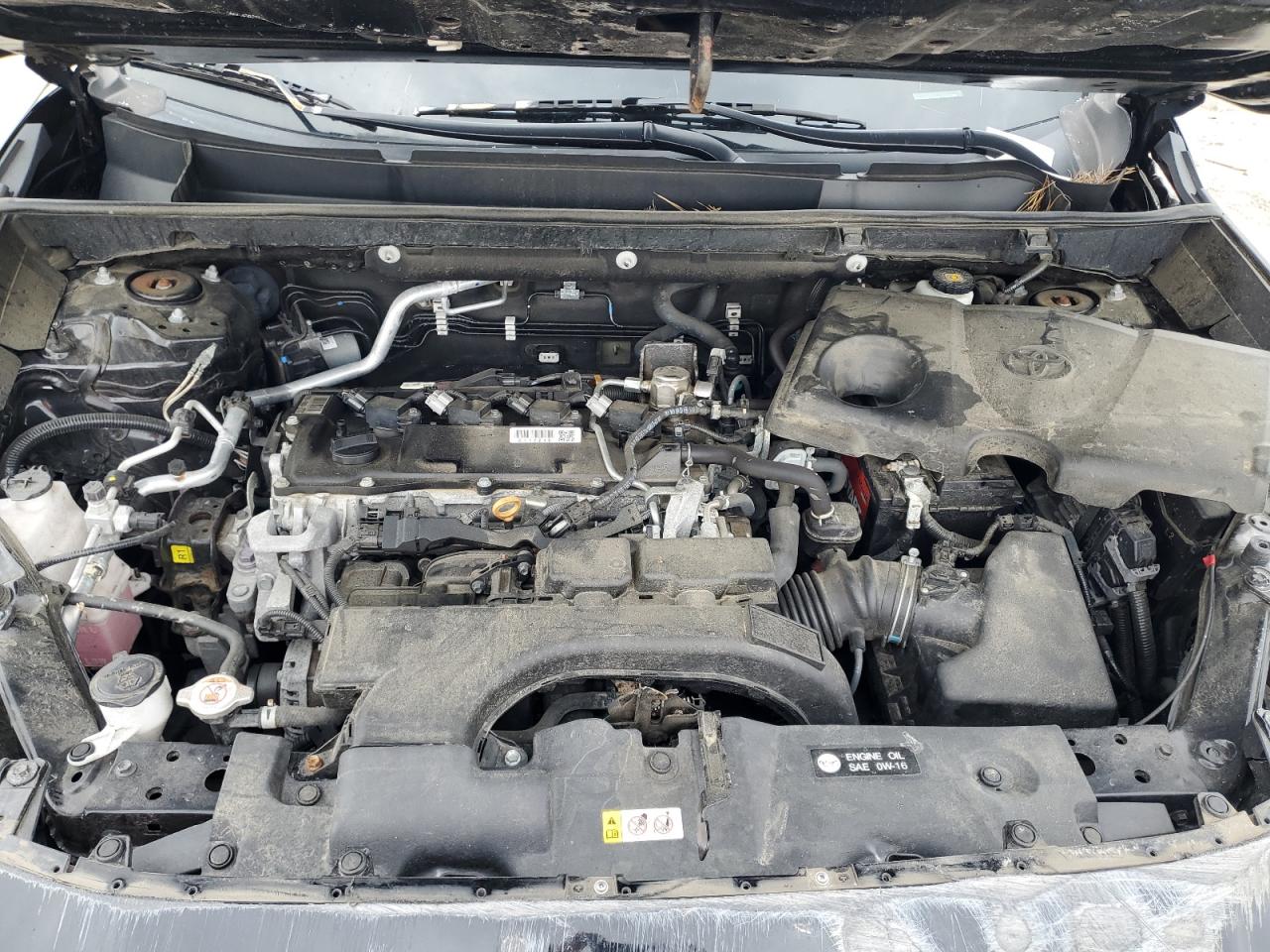 2T3F1RFV6KW036692 2019 Toyota Rav4 Le