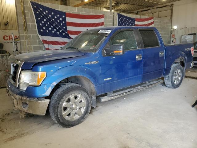 2013 FORD F150 SUPERCREW 2013