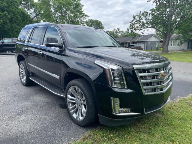 2019 Cadillac Escalade Premium Luxury VIN: 1GYS3CKJ8KR257794 Lot: 54778354