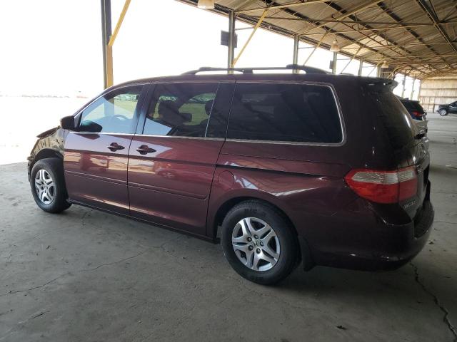 2007 Honda Odyssey Exl VIN: 5FNRL38707B059269 Lot: 54272144