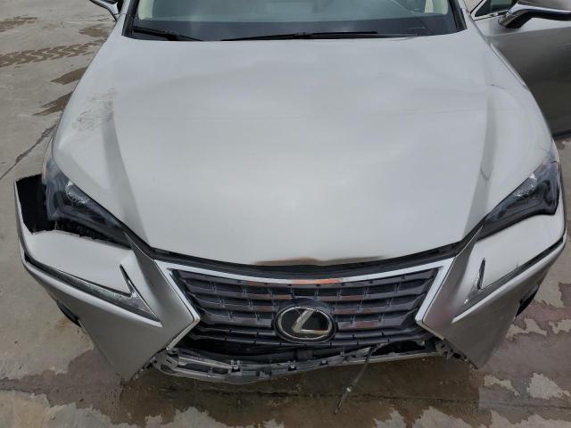 2021 Lexus Nx 300 Base VIN: JTJDARBZ8M2191463 Lot: 56123504