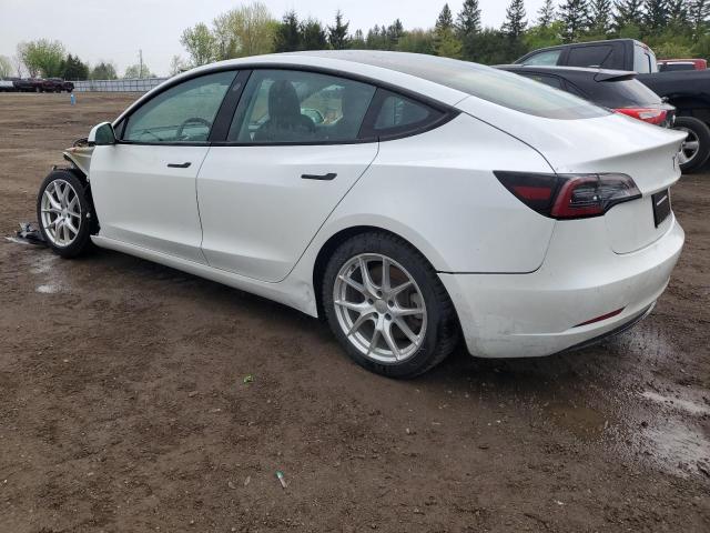 2021 Tesla Model 3 VIN: 5YJ3E1EA2MF852508 Lot: 53953794