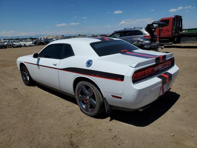 2013 Dodge Challenger R/T VIN: 2C3CDYBT4DH651113 Lot: 54446334