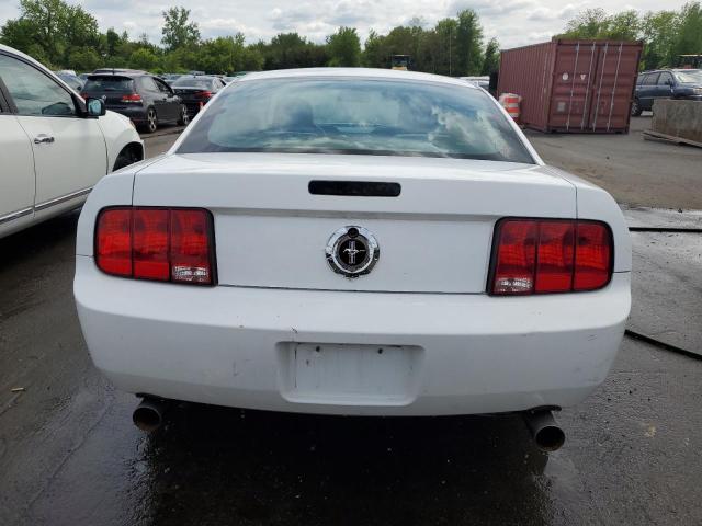 2005 Ford Mustang VIN: 1ZVFT80N555138331 Lot: 54714744