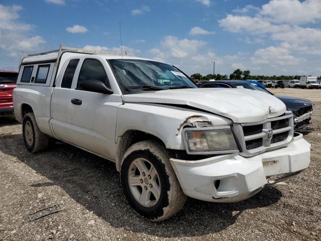 2011 Dodge Dakota Slt VIN: 1D7RE3BK3BS701248 Lot: 55334384