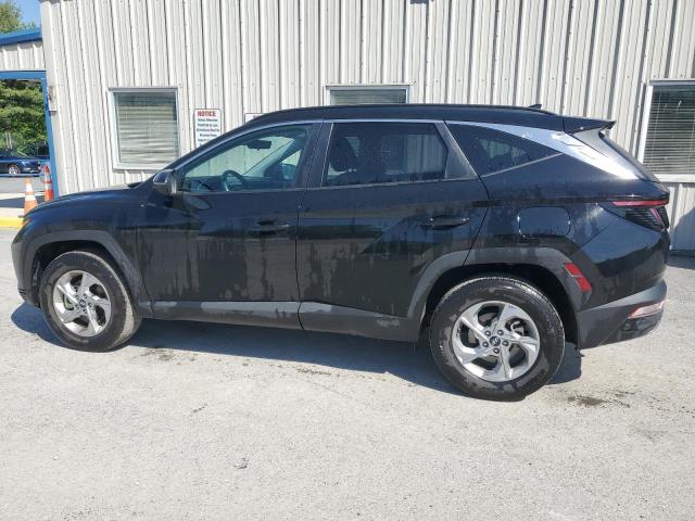 2023 Hyundai Tucson Sel VIN: 5NMJBCAE9PH203389 Lot: 54849614