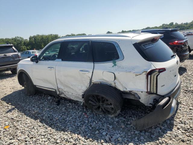2020 Kia Telluride Sx VIN: 5XYP5DHC3LG094427 Lot: 56299184