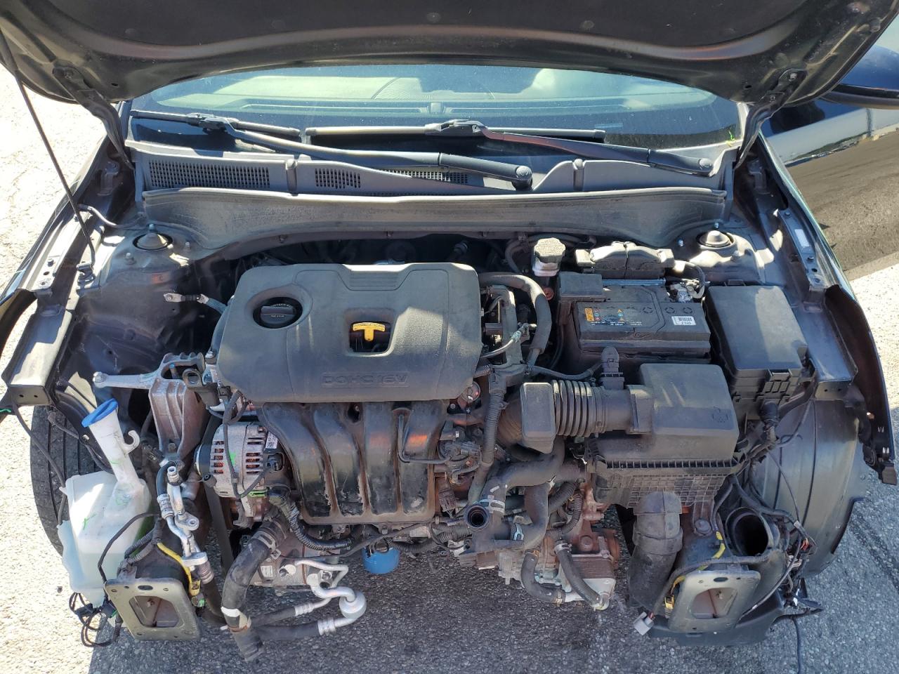 3KPF24AD9KE137459 2019 Kia Forte Fe