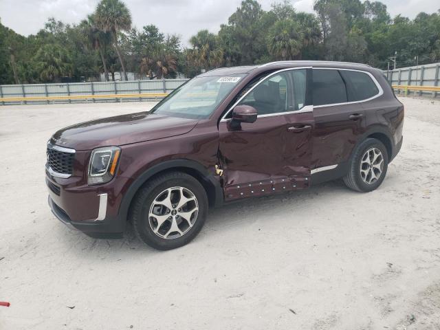 2022 Kia Telluride Ex VIN: 5XYP3DHC9NG310998 Lot: 55559874