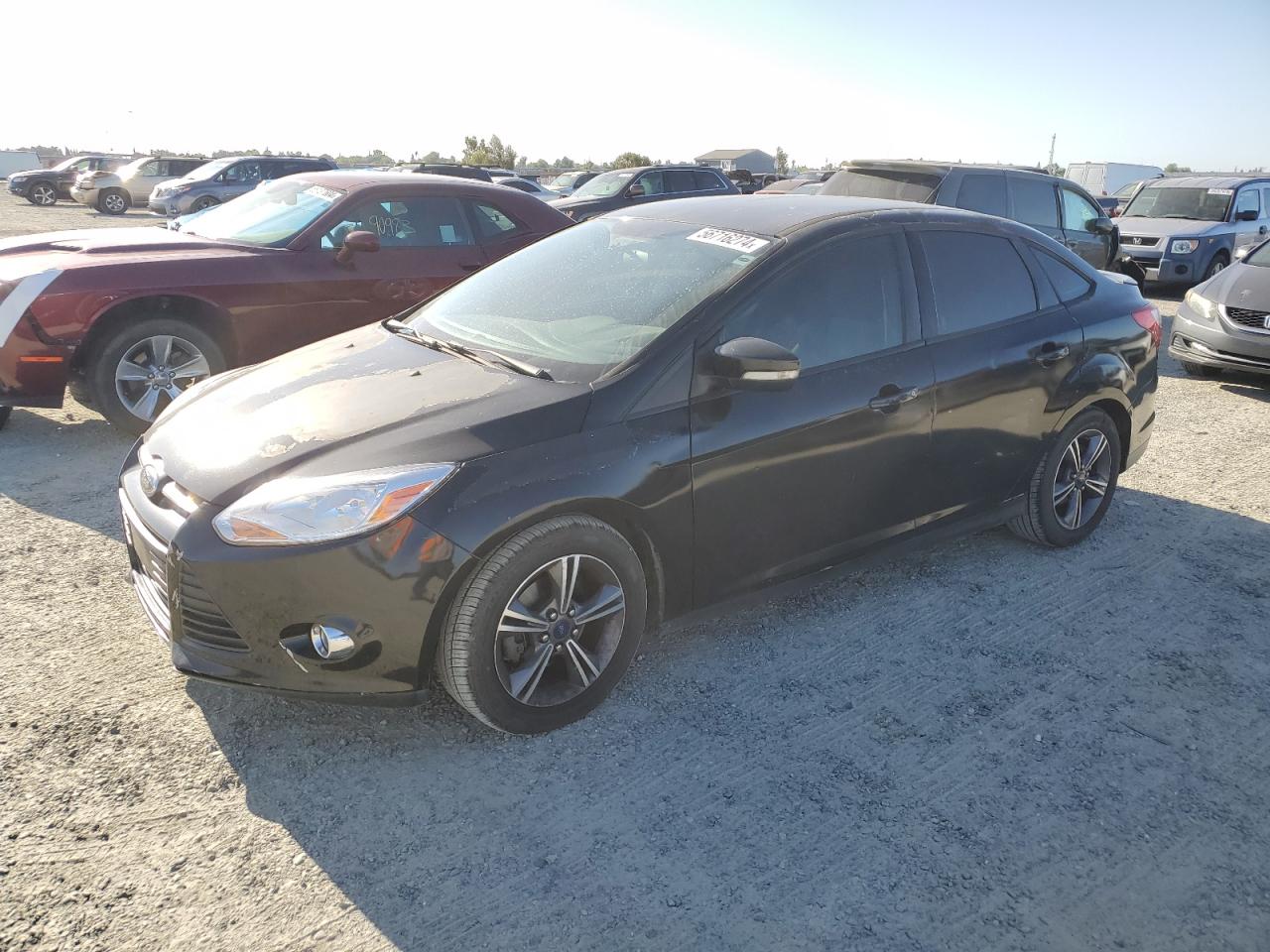 1FADP3F21EL432860 2014 Ford Focus Se