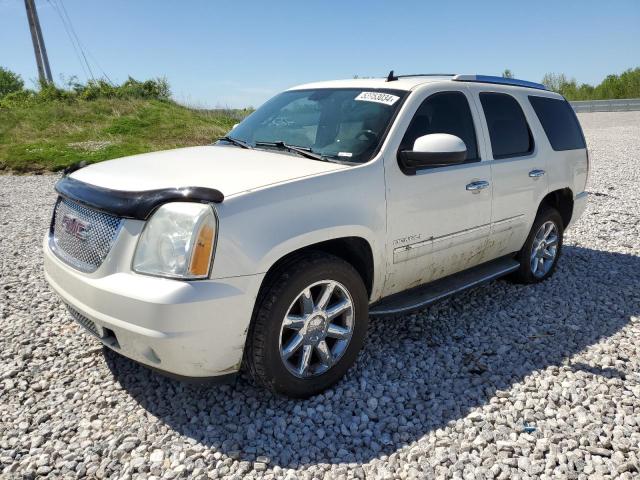 2010 GMC Yukon Denali VIN: 1GKUKEEF1AR139335 Lot: 53953034