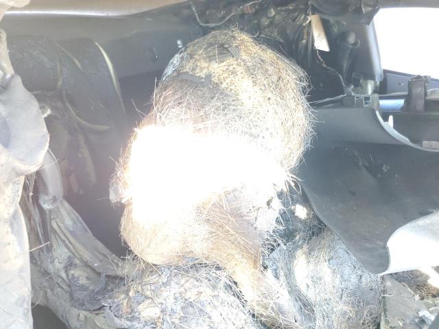 2018 Ford Mustang Gt VIN: 1FA6P8CF5J5165007 Lot: 56851184