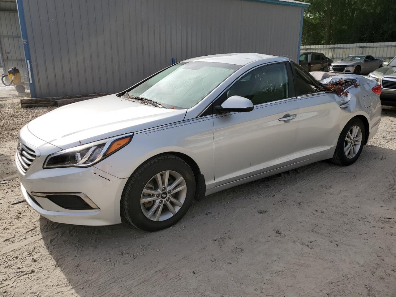 5NPE24AF6GH298402 2016 Hyundai Sonata Se