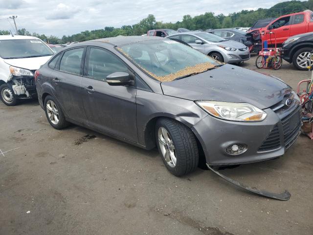 2014 Ford Focus Se VIN: 1FADP3F20EL243486 Lot: 56640854