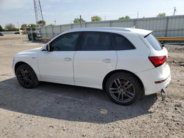 2015 Audi Sq5 Premium Plus VIN: WA1CGAFP1FA096351 Lot: 54963734