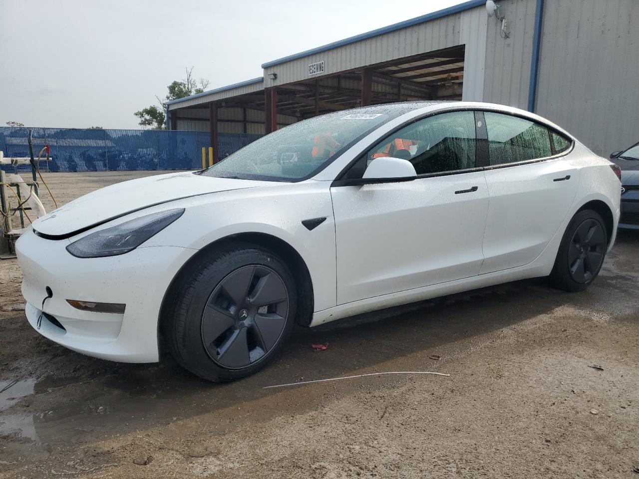 2023 Tesla Model 3 vin: 5YJ3E1EA5PF553017