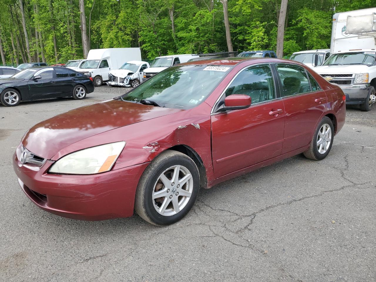 1HGCM66544A093131 2004 Honda Accord Ex