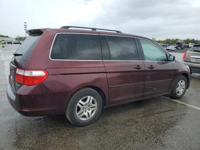 2007 Honda Odyssey Exl VIN: 5FNRL38757B067593 Lot: 54841364