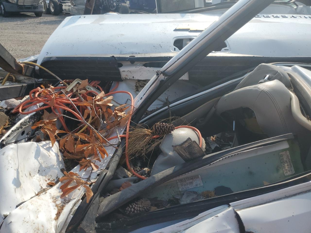 2GCEC13J181128884 2008 Chevrolet Silverado C1500