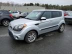 Lot #3033151019 2013 KIA SOUL +